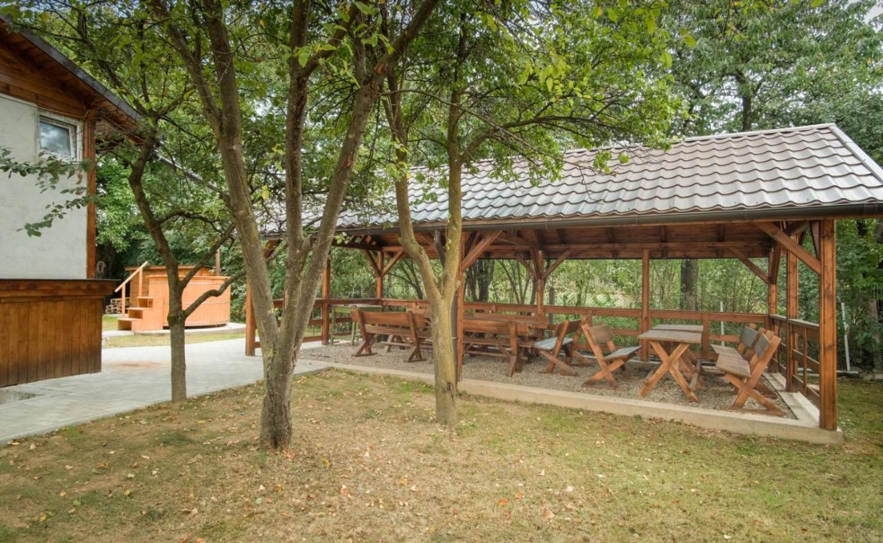Pensiunea Selena Viseu de Sus Exterior photo